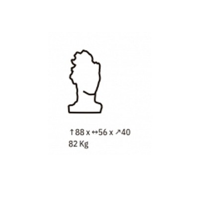 002-figura-arte-liam